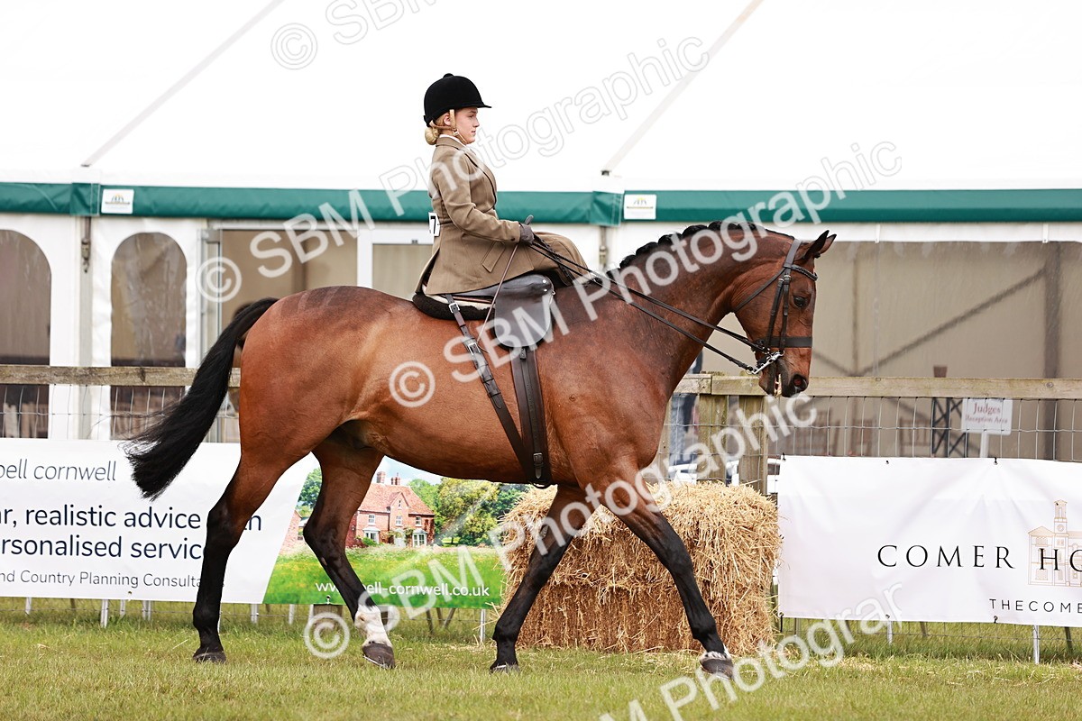 SBM_10967 - Class 81-84 - RIHS Ridden hunters Inc Ladies Hunter