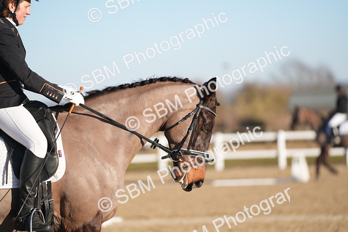 SBM_005671 - Class 6 - E1-80cm