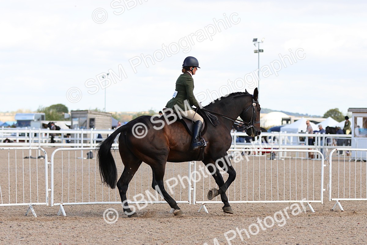 SBM_13479 - Class 212 - Ridden Hunter  - Large