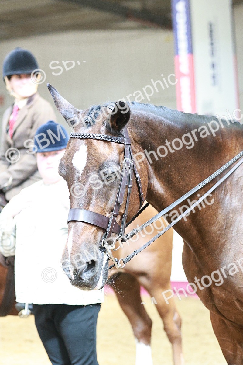 SBM_07056 - Class 10R - Regional Ridden Diamond