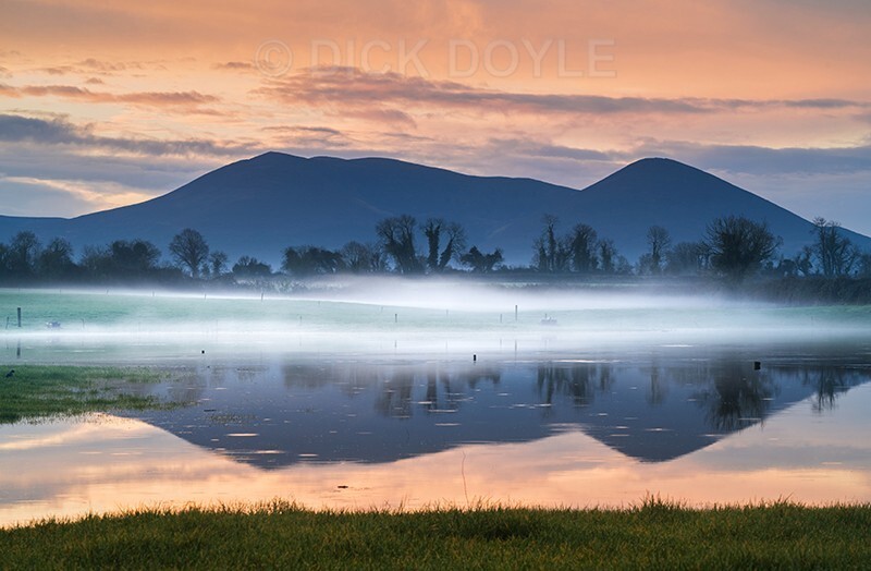 Gsrryclougher flood - Mood and mist with some lumen added