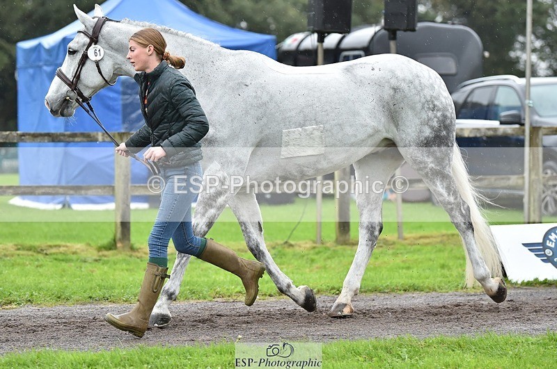 231018-124526-00496 - 061-SAYS.ALL-Maisie.Morgan-TrotUp