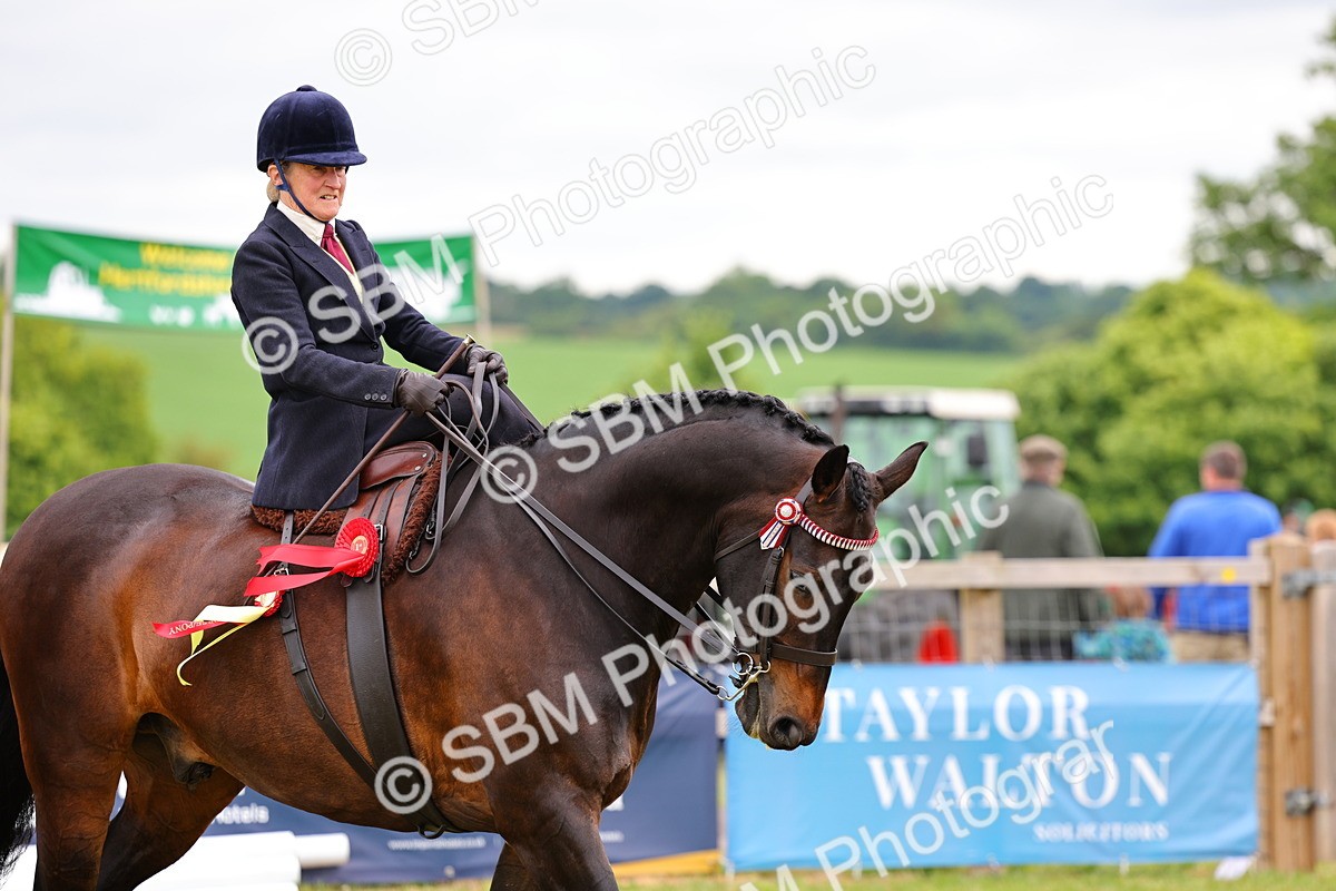 SBM_02856 - Class 9-11 Side Saddle including LIHS Rising Star Ladies Show Horse