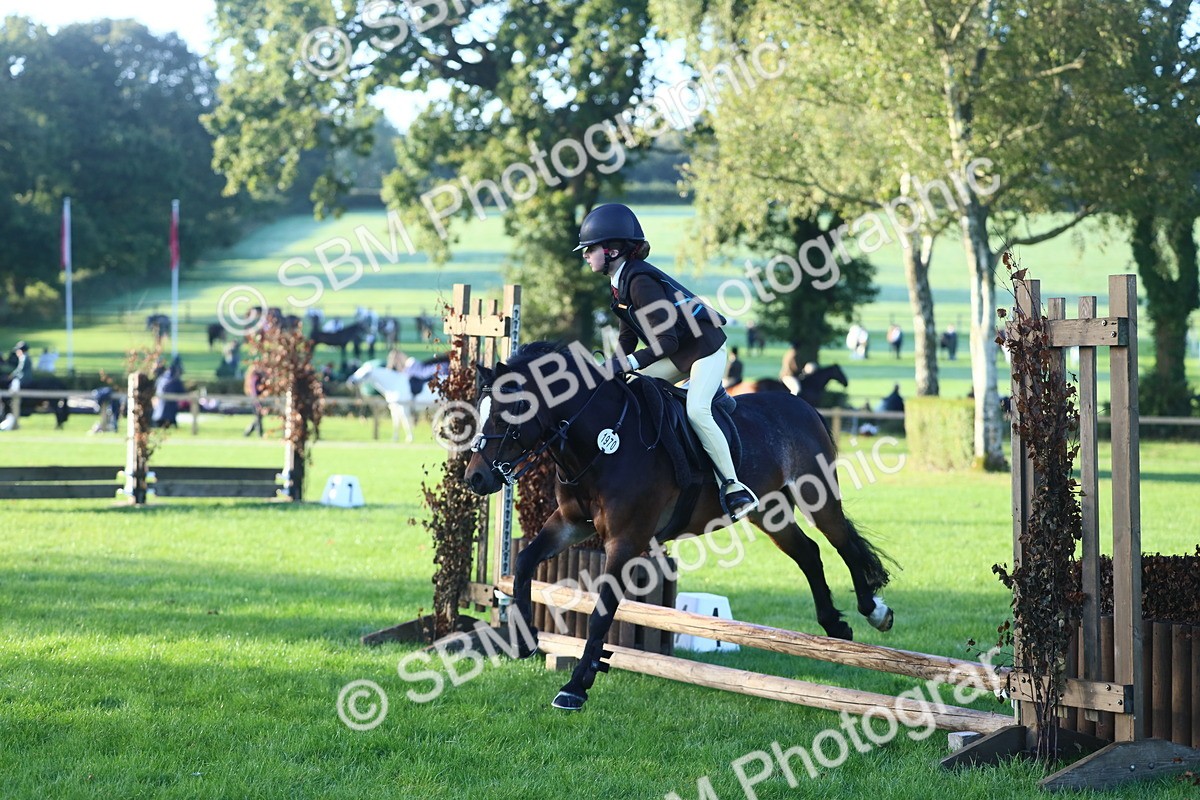 SBM_31885 - S28 - Nursery Stakes Working Hunter Pony