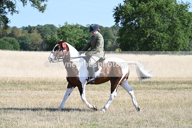 WJ7_3229 - Class 8 Ridden Tack & Turnout