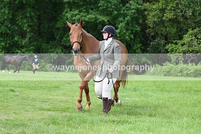WJ7_0991 - Class 11 Condition & Turnout