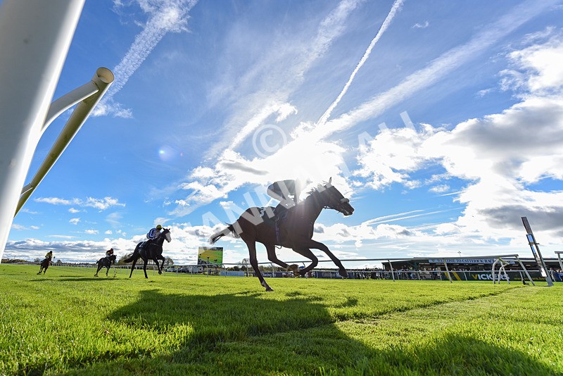 291024-Race 1-Hi Lord-8550 - Race 1