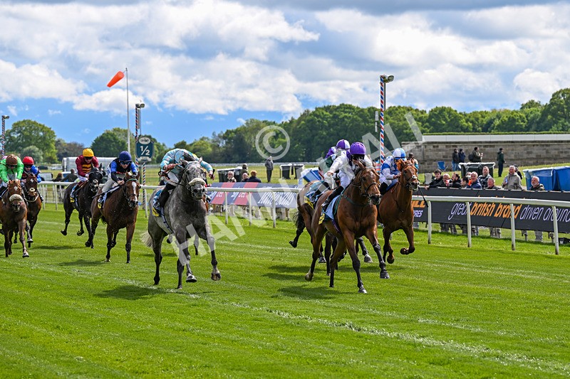 130526-Race 3-Dark Thirty-2778 - Race 3 2.55pm Churchill Tyres Handicap