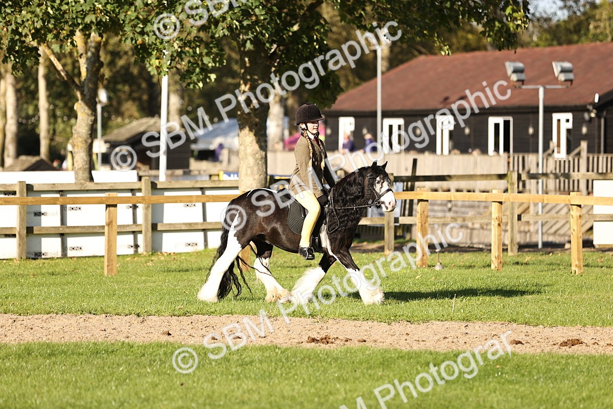 SBM_29421 - S7 - Novice & Newcomers Ridden Pony