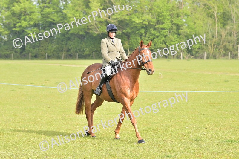 20260426-0849 - Class 18 - Novice Showing