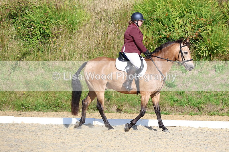 3E7A3398 - Class 2: Intro 1 2024 Section B