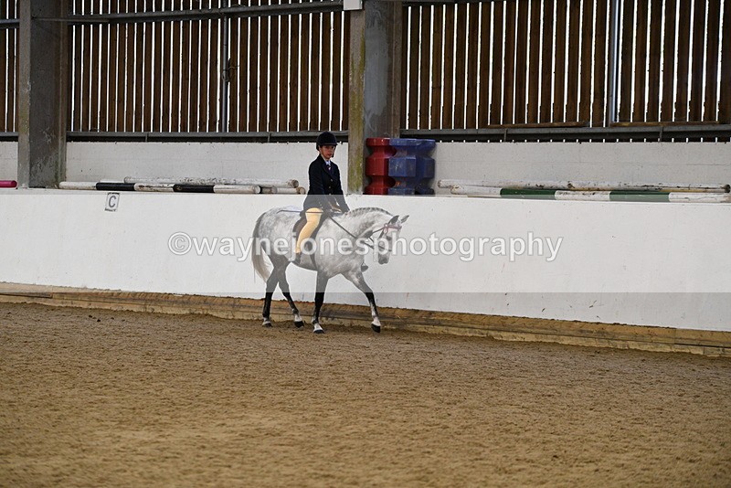 WJ5_7701 - Class 13 Ridden Part Breed