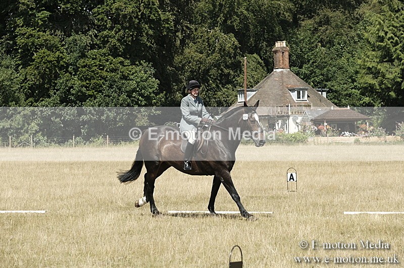 _PJP5825 - Dressage Classes BVRC Show 2018