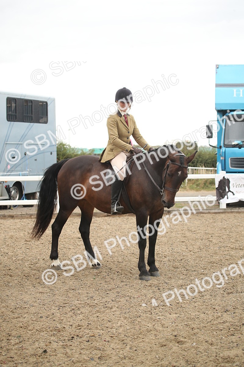 SBM_18422 - Class 509B - Working Veteran - 80cm (20+)