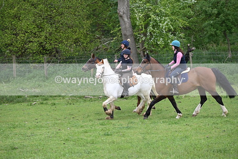 WJ6_3134 - A camera