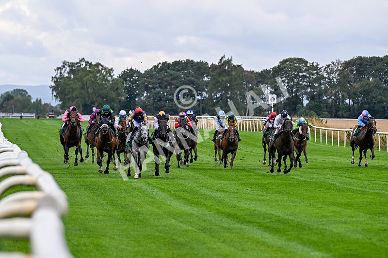 280826-Race 4-Deep Havana-4466 - Race 4 4pm Ivegate Building Handicap