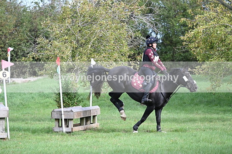 WJ7_8306 - 60cm Pairs