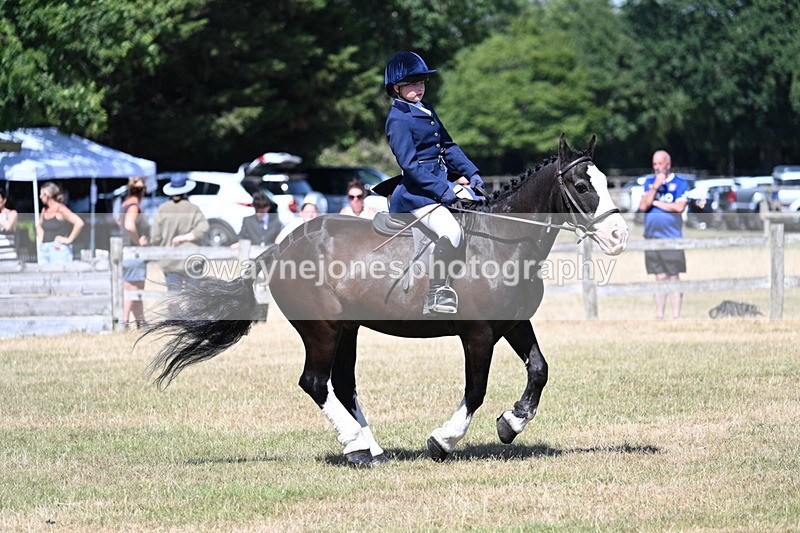 WJ7_3733 - Class 8 Ridden Veterans