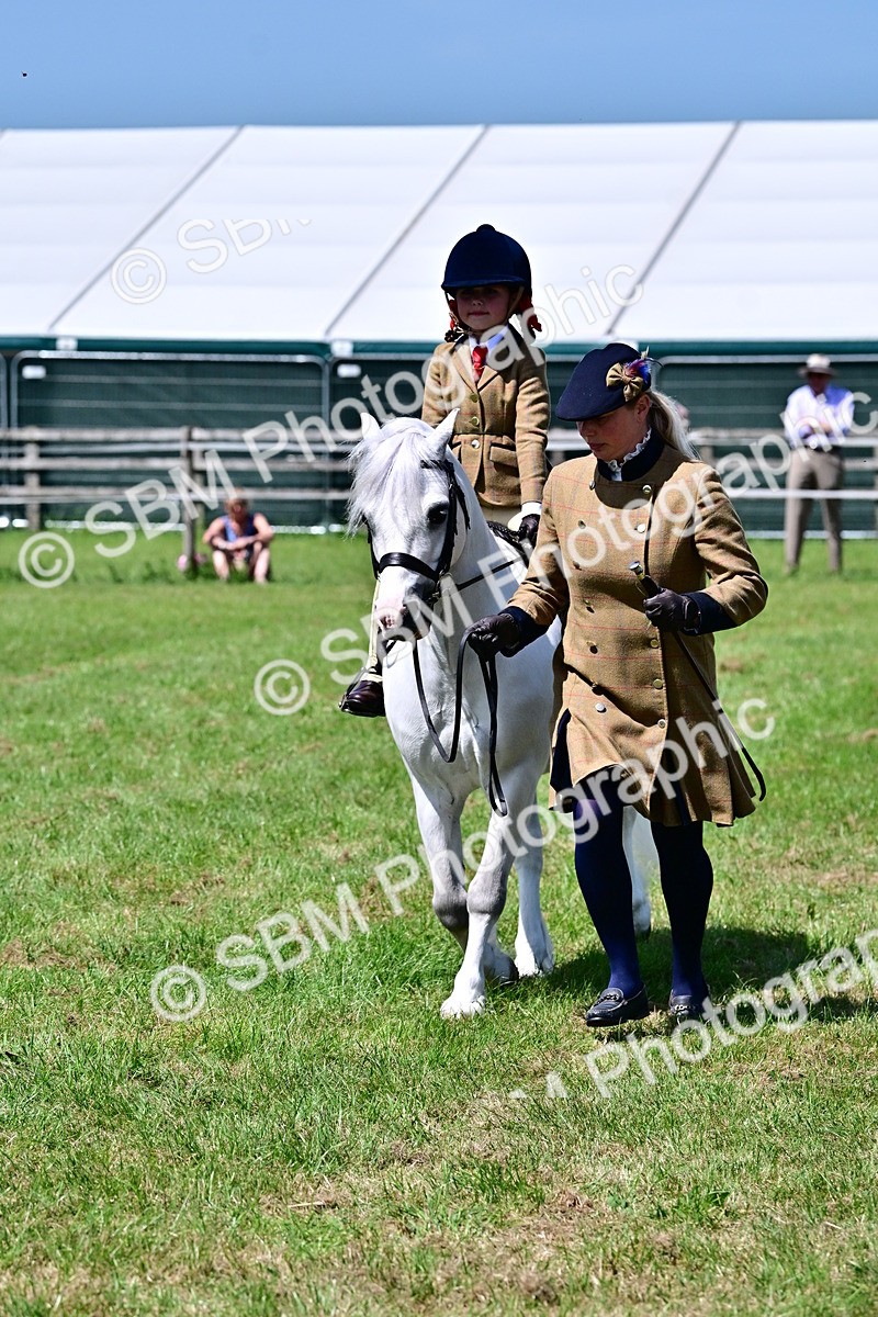 SBM_05881 - Class 59-60 - TSR M&M  Lear Rein and First Ridden Amateur of the year
