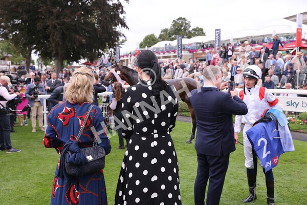 yr17082022r3-42 - Race 3 3.00pm Sky Bet Great Voltigeur Stakes