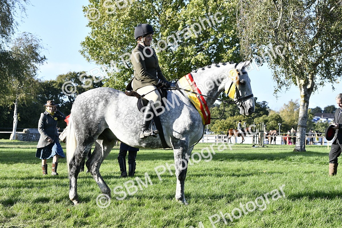 SBM_51732 - Working Hunter Supreme Championship