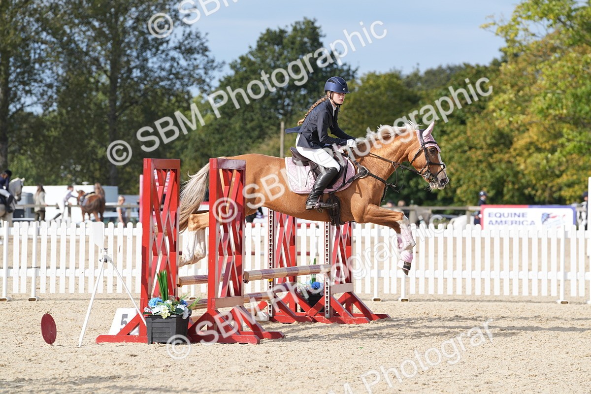 SBM_48843 - J22 - Junior Horse 65cm Championship