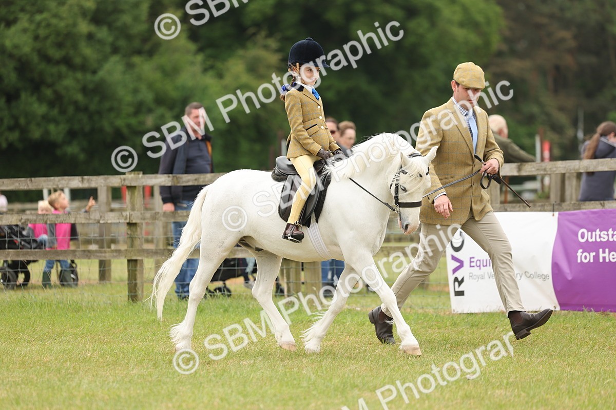 SBM_06705 - Class 74-75 - M&M Lead Rein and First Ridden Pony