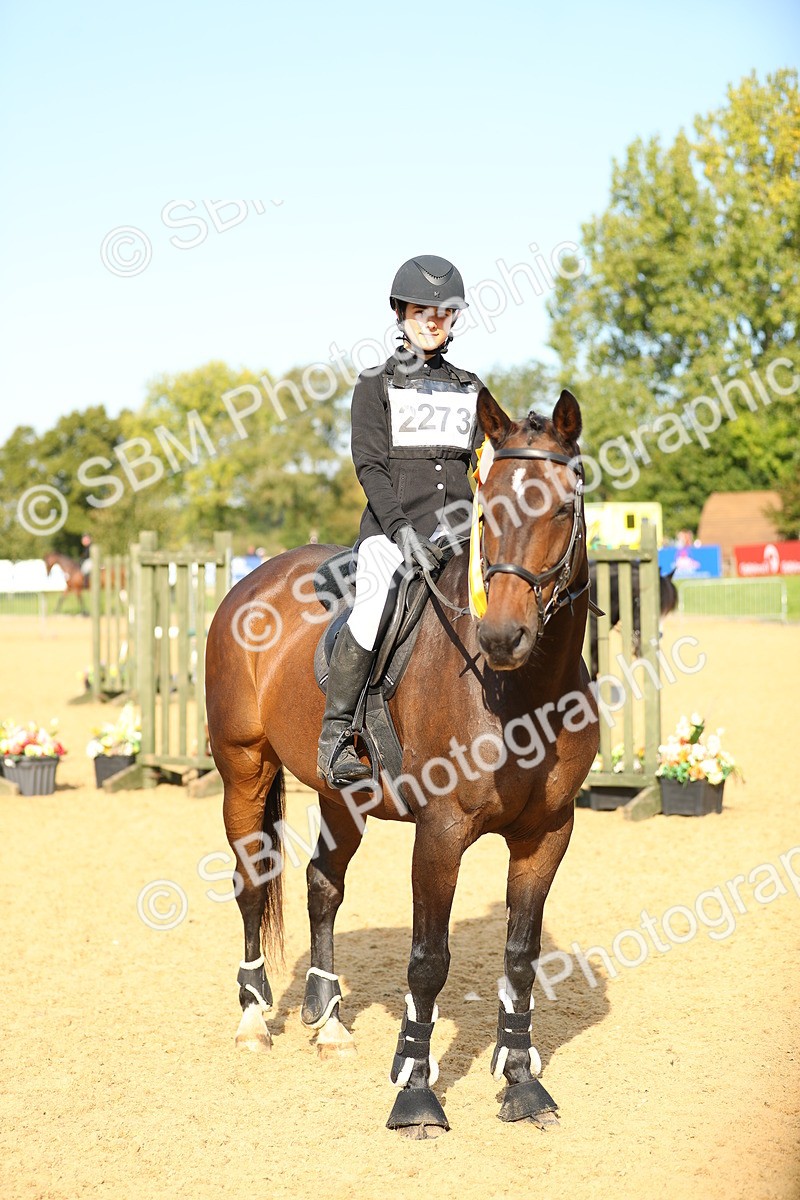 SBM_60428 - J41 - Grand Tour 95cm Championship