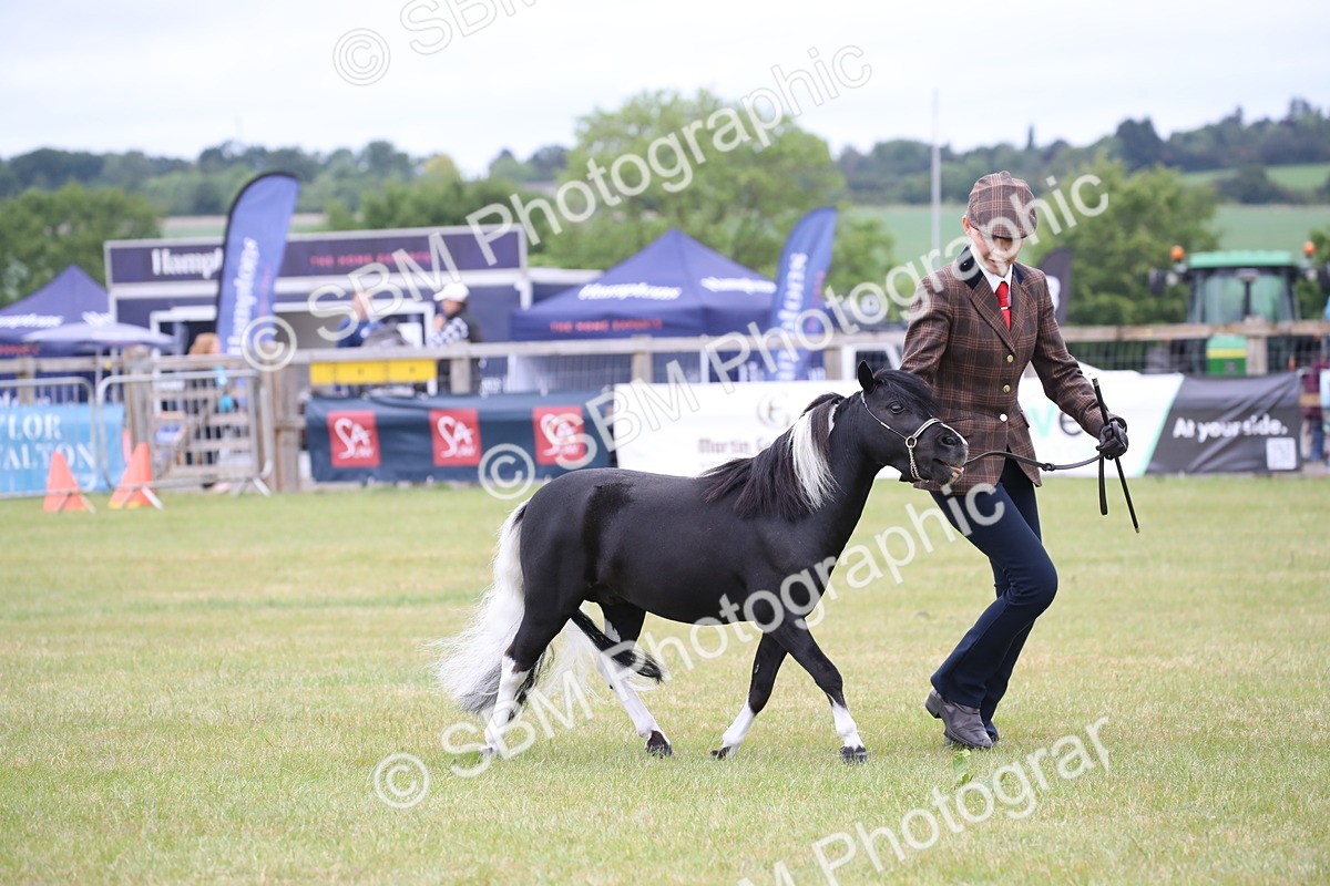SBM_03784 - Class 23-25 - British Miniature Horse of the Year