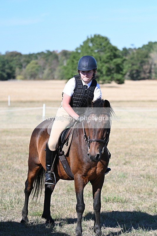 WJ7_2230 - Class 44 Child's Best Friend