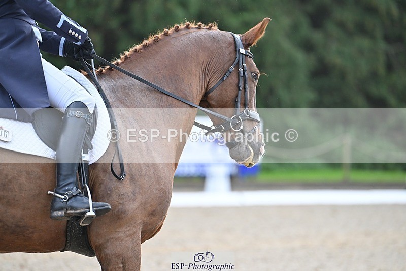 231019-110935-02063 - 106-PERCIVALE-Katey.Cuthbertson-DR