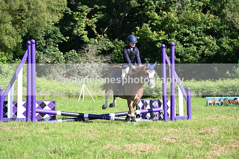 WJ6_3541 - Class 1 Tiny Cross Poles