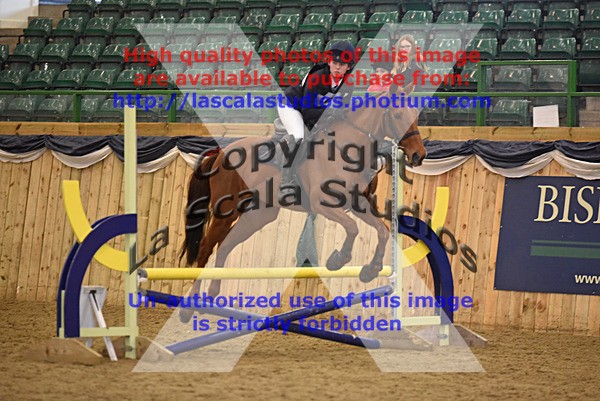 WS_0023 - Class 2a  80cm Qualifier