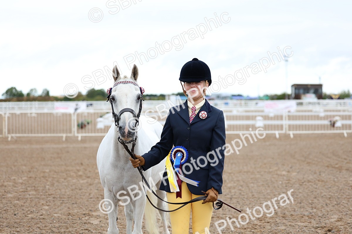 SBM_00268 - Class 13 - Young Handler