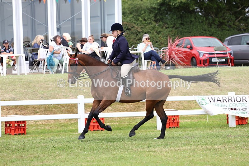 3E7A0933 - Class 8: Open Riding Horse/Hack