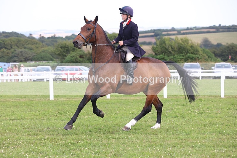 JPP_3825 - Class 23: Working Hunter 80cm