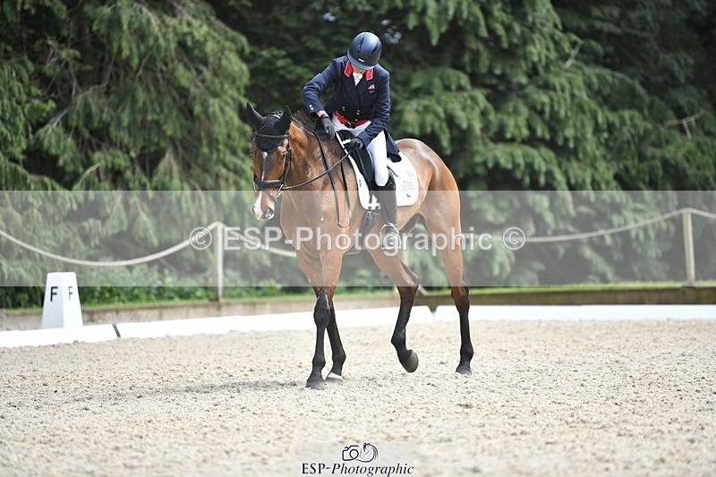 230525-150722-03198 - 324-DRUMGIVEN_MR_CHARISMA-Jeanette_Brakewell-WEDTrotUp+DR