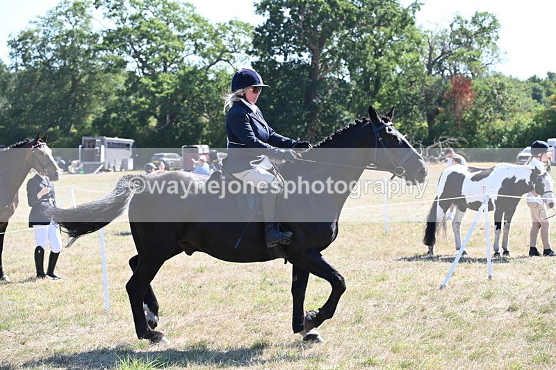 WJ6_8280 - Class 37a Best Loan Pony Ridden