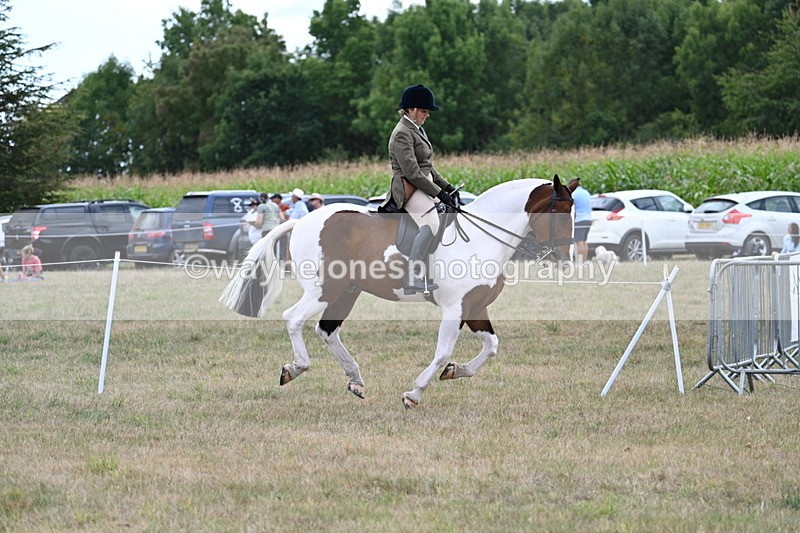 WJ7_5216 - Class 12 Ridden Cob