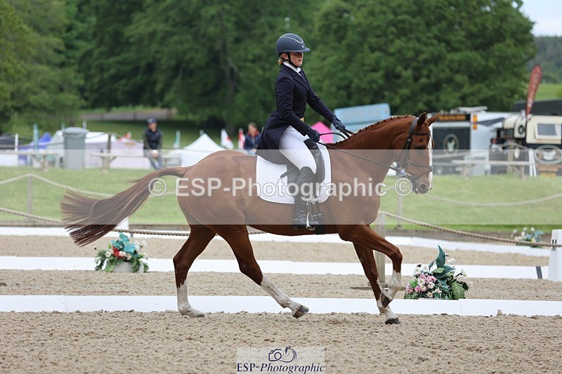 240524-090347-07045 - 251-MILESTONE_GOLD-Gaby_Bull