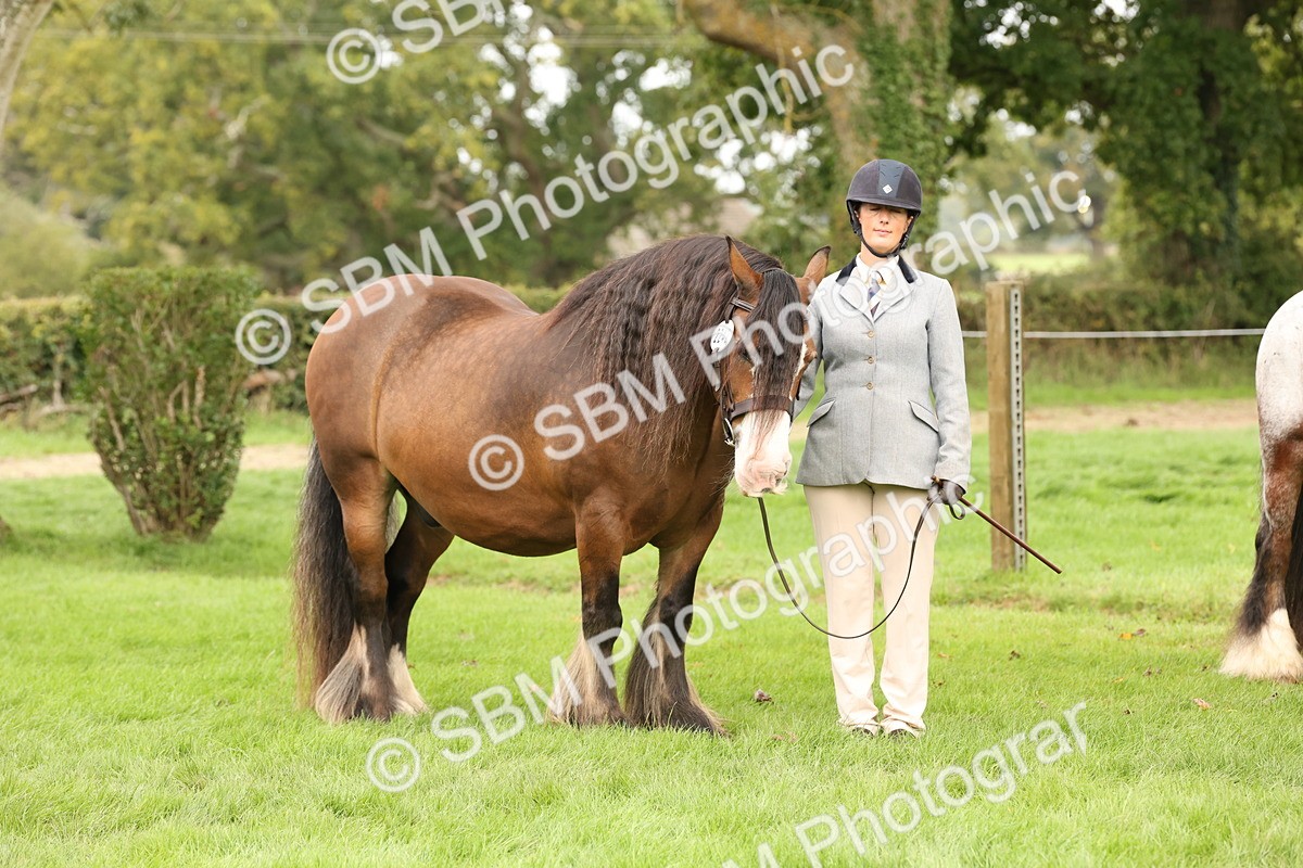 SBM_59336 - S57 - Traditional Cob In Hand