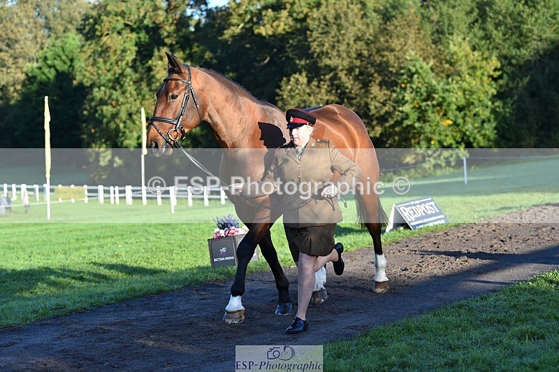 231022-090612-21564 - 634-PEMBROKE.MASTER.PIECE-Joanna.Dunn-TrotUp+SJ