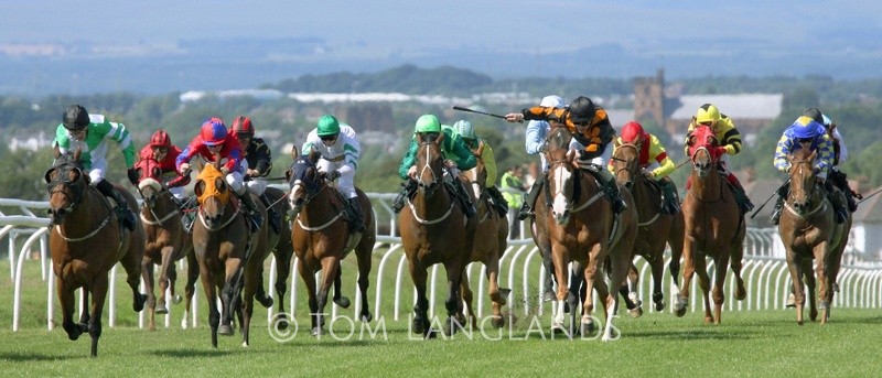 Down the Straight - Sport