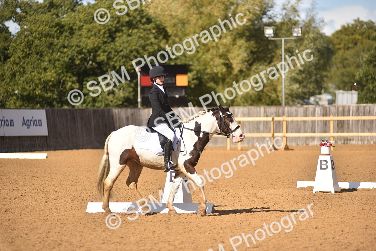 SBM_48691 - D22 - Junior Championship Intro 3
