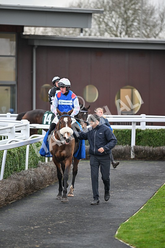 171224-Race 5-Wrappedinrubies-3469 - Race 5