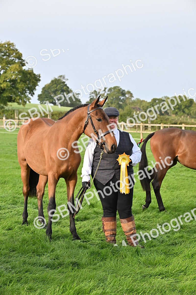 SBM_55405 - S44 - Youngstock In Hand