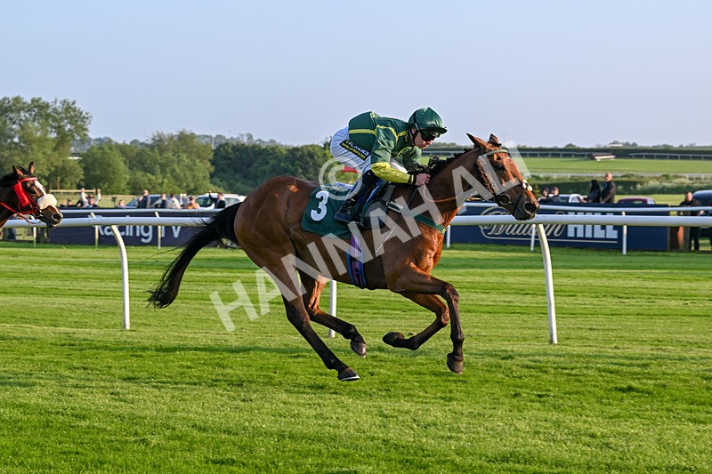 310524-Race 3-Lord Torranaga-8683