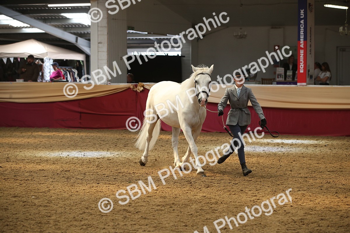 SBM_05643 - Class 9R - Regional IH Pre-Vet