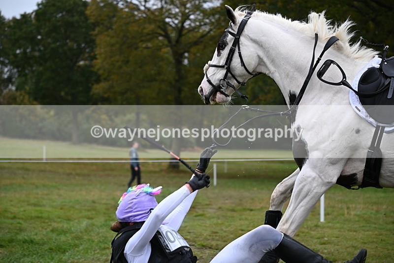 WJ6_3527 - 90cm Cam 1 Time 13:07 to 13:34