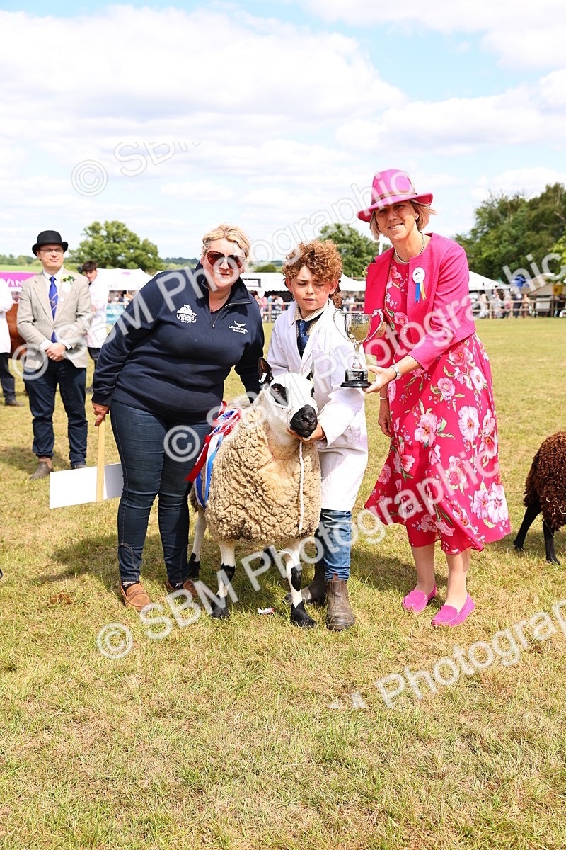 SBM_16991 - Grand Parade
